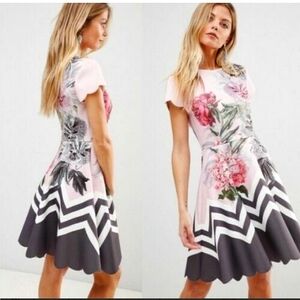 Ted Baker Haiilie Skater Dress Size 3 US 8 Palace Gardens Scalloped Pink Grey
